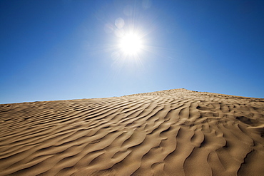 Sunny desert