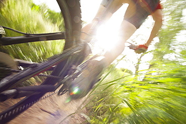 Cyclist on single track trail