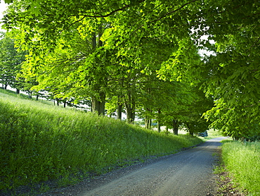 Rural road