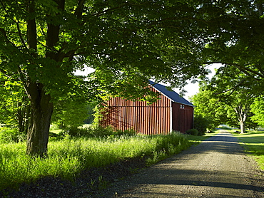 Rural road