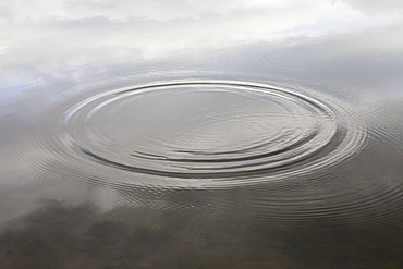 Ripples in water