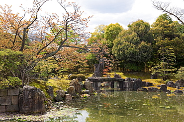 Japanese garden