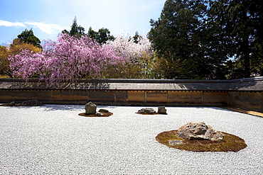 Japanese garden