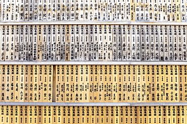 Shelves of Japanese books