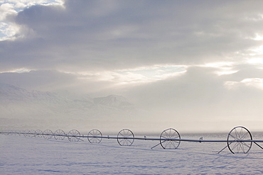 Irrigation equipment on a snow covered field