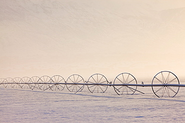 Irrigation equipment on a snow covered field