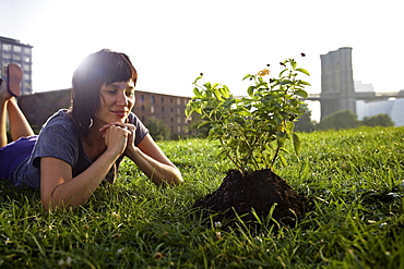 Woman looking at aspen sapling on grass