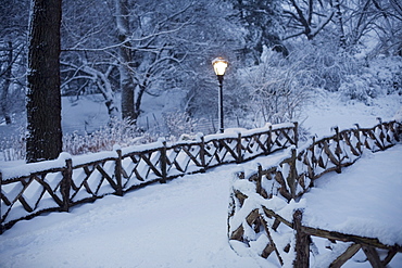 Central park in winter