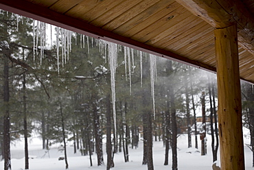 Icicles on log cabin