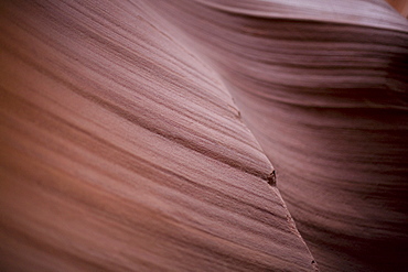 Sandstone