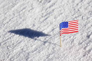 American flag in the snow