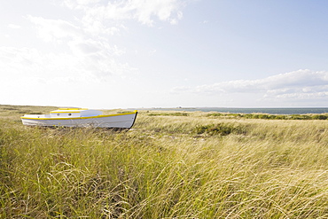 Old wooden boat in the grass