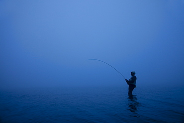 Fly fisherman