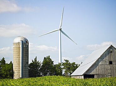Farm