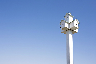 Bird houses