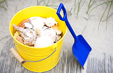 Beach shovel and pail of shells