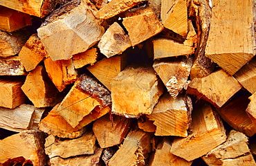 Firewood