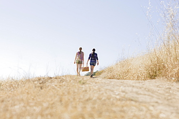 Freinds walking to picnic