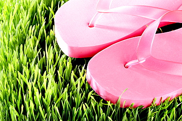 Pair of pink Flip-Flops, close-up