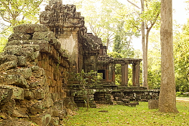 Ancient Temple Angkor Cambodia Khmer Ta Prohm