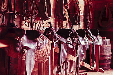 Saddles on bench in barn, The Sauer-Beckmann Living Historic Farm, LBJ State Park, Texas, USA