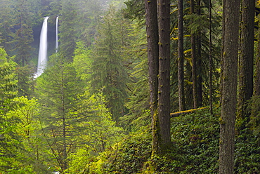 Silver state park with waterfall in background, Marion County, Oregon