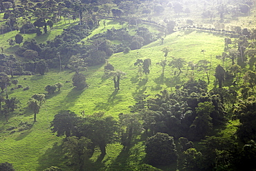 Aerial view of Efate Island, Fiji