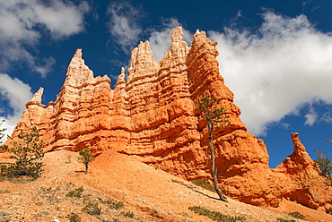 Rock formations in Bryce Canyon, Bryce Canyon, Utah