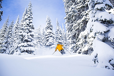 Man skiing, USA, Montana, Whitefish