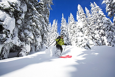 Woman skiing, USA, Montana, Whitefish