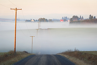 Fog over road, USA, Oregon, Marion County