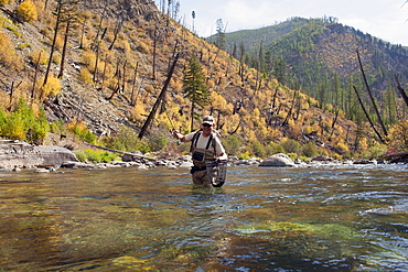 Fisherman wading in river, North Fork Blackfoot River, Montana, USA