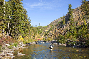 Fisherman wading in river, North Fork Blackfoot River, Montana, USA