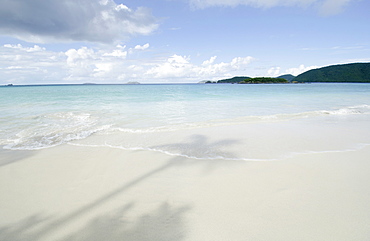 Shadow of palm trees on sandy beach