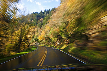 Driving on the wet road in Great Smoky Mountains National Park