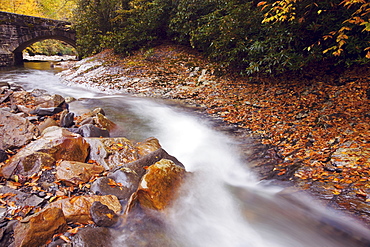 Great Smoky Mountains National Park 