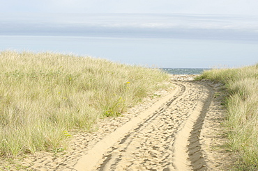 Path with tyre track, Nantucket, Massachusetts