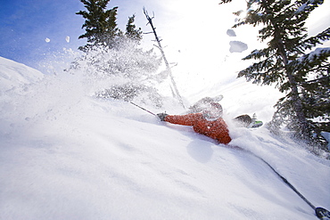 Man collapsing on powder snow while skiing