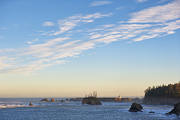 Cape Arago