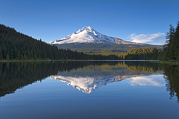 Mount Hood reflecting in Trillium Lake