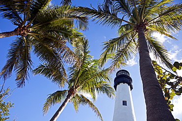 USA, Florida, Key Biscayne, Lighthouse with palm trees