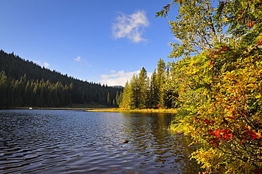 USA, Oregon, Multnomah County, Trillium Lake