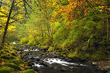 USA, Oregon, Eagle Creek