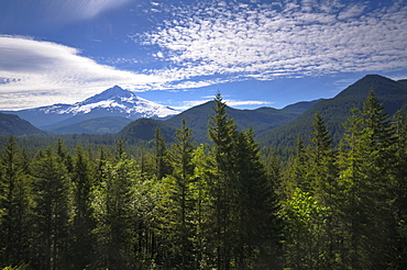 USA, Oregon, Multnomah County, Landscape with Mount Hood