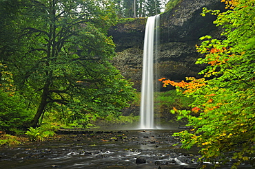 USA, Oregon, Marion County, South Falls