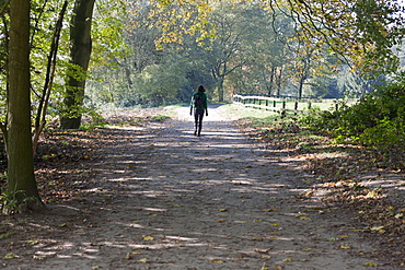 The Netherlands, Veluwezoom, Posbank, Hiker in countryside