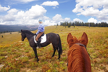 Woman riding horse, USA, Western USA, Colorado