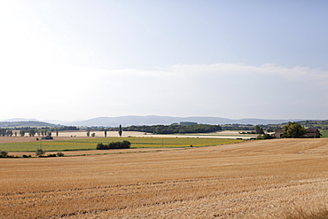 France, Drome, Grignan, Rural landscape