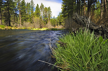 USA, Oregon, Deschutes County, Metolious River