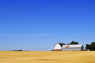 USA, Oregon, Marion County, Farm under blue sky
